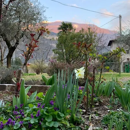 Bed & Breakfast Garnì Delle Rose *